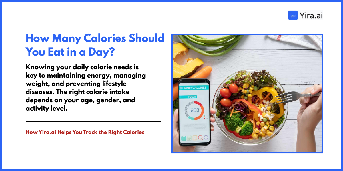 How Many Calories Should You Eat in a Day?